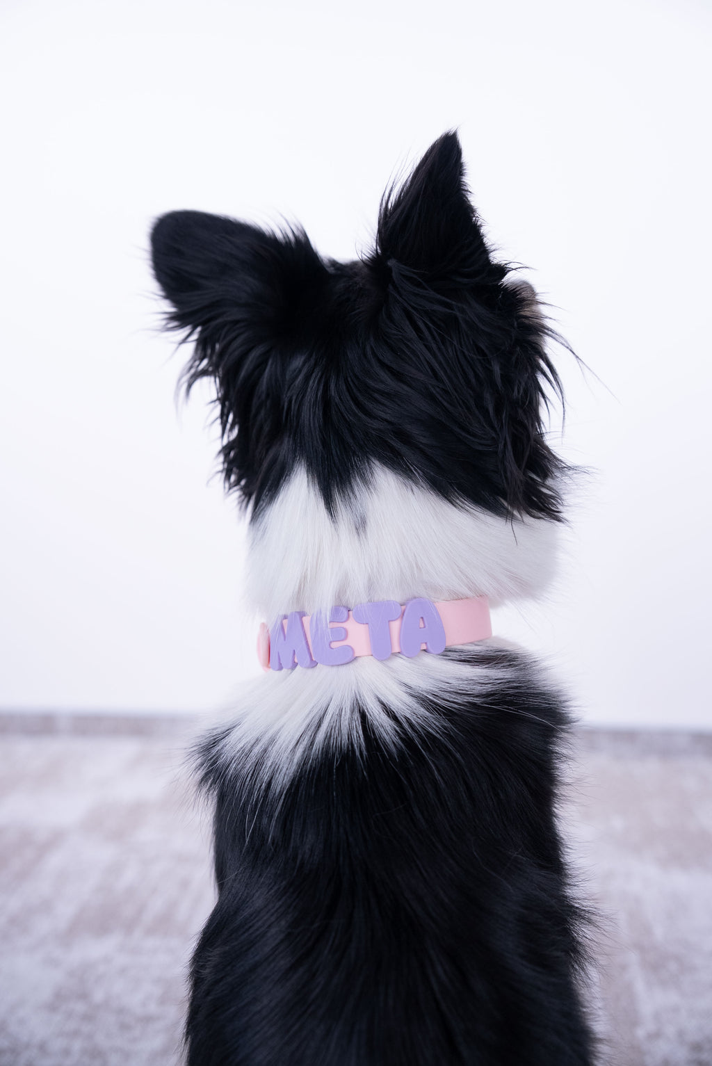PawCharms antkaklis