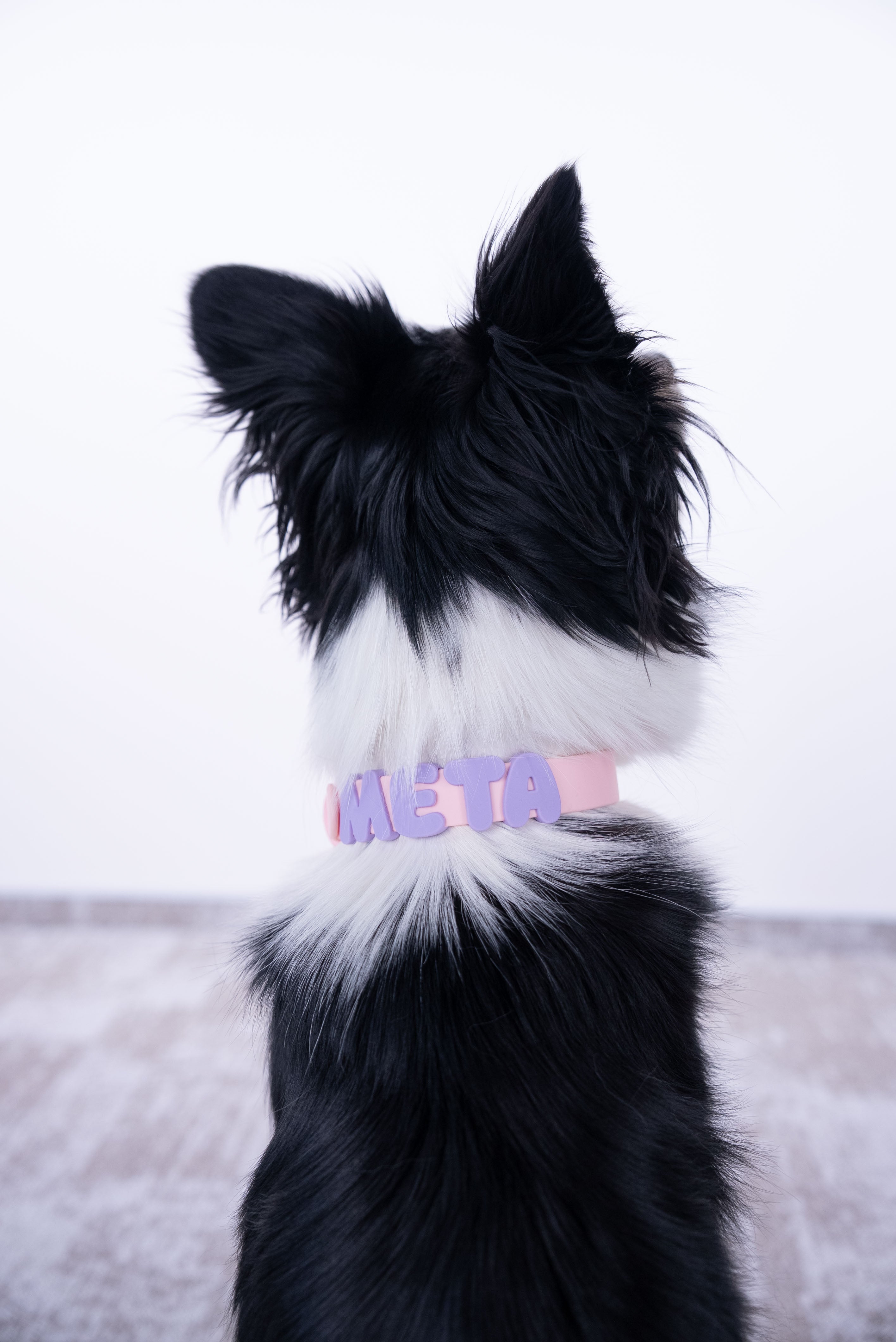 PawCharms antkaklis